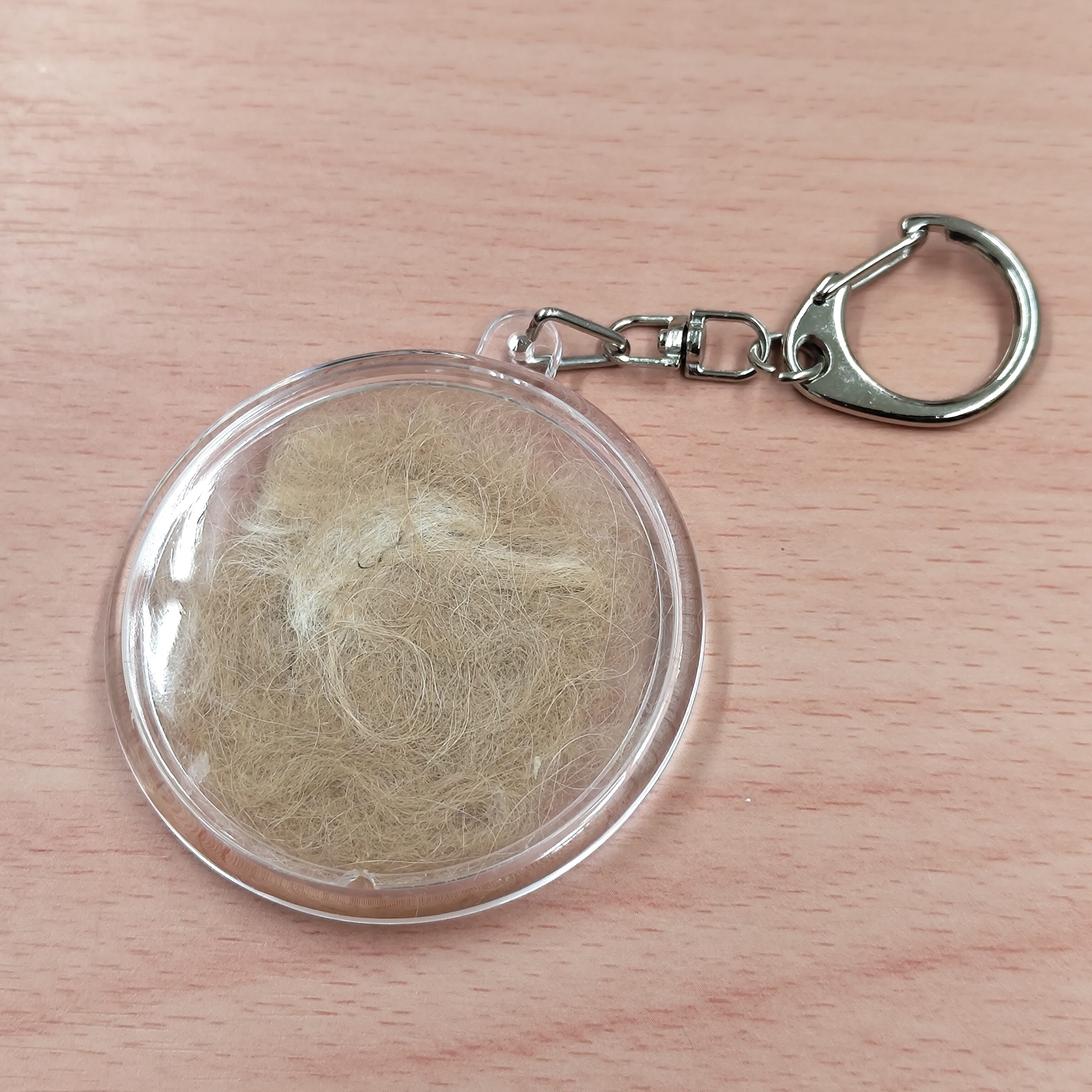 アルパカのことを良く知ろう！ – 神楽坂まち飛びフェスタ